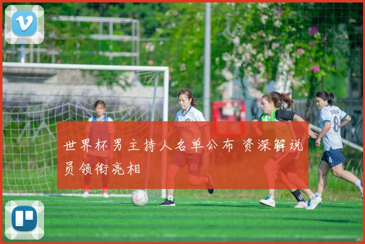 世界杯男主持人名单公布 资深解说员领衔亮相