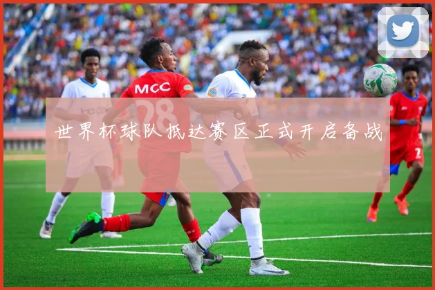 世界杯球队抵达赛区正式开启备战