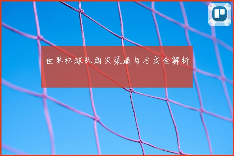 世界杯球队购买渠道与方式全解析