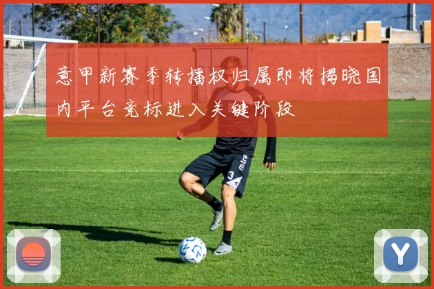 意甲新赛季转播权归属即将揭晓国内平台竞标进入关键阶段