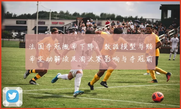 法国夺冠概率下降，数据模型与赔率变动解读及淘汰赛影响与夺冠前景